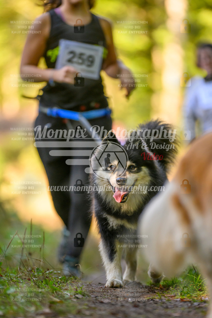 MompixPhotography_Yens2025_B3-141 | PayLife