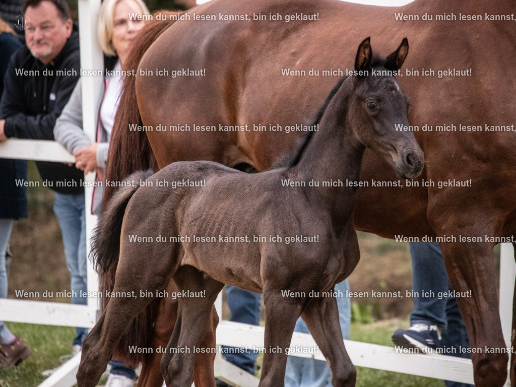 A10I7303 | photographylinaismer - Realisiert mit Pictrs.com