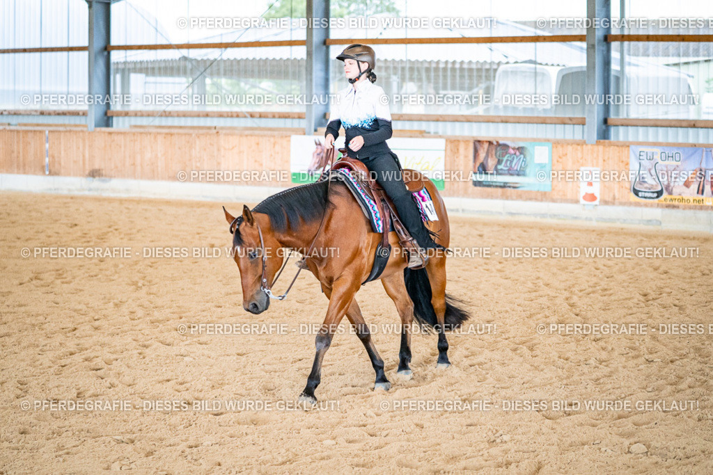 DSC02516 | Pferdegrafie