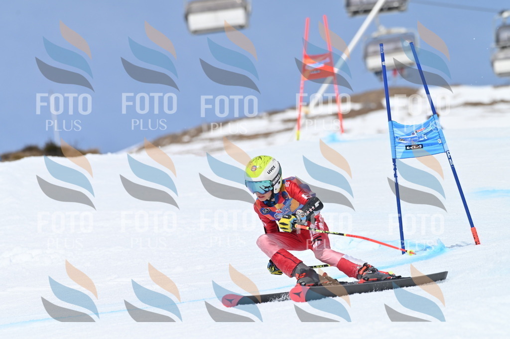 BGV_2732 | holidayphoto