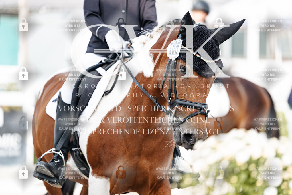 CK903980 | Turnierfotografie Pferdefotografie Trier Rheinland-Pfalz Pferdesport Reitsport Tierfotografie Sportfotografie Pferdevideo Pferdevideografie Equestrianvideography equestrianphotography  - Realisiert mit Pictrs.com