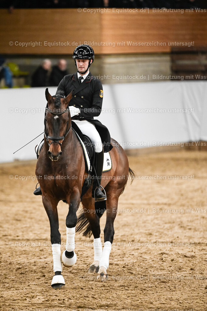 20260307_Hengstvorstellung-Marbach_0358 | equistock