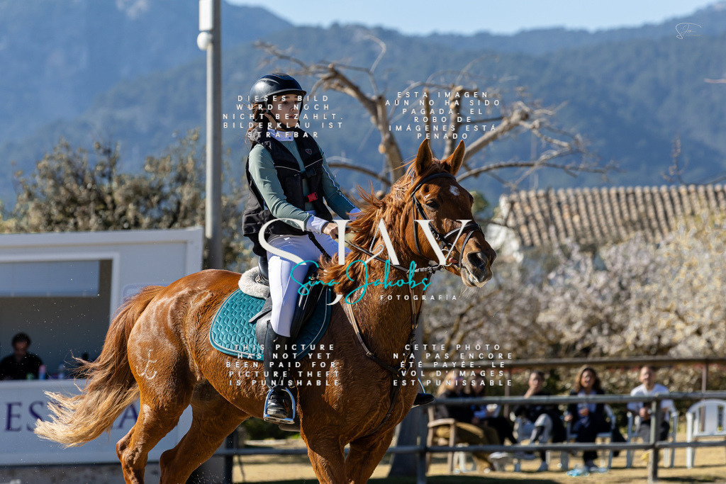 IMG_1274 | s-jay-photography - Realisiert mit Pictrs.com