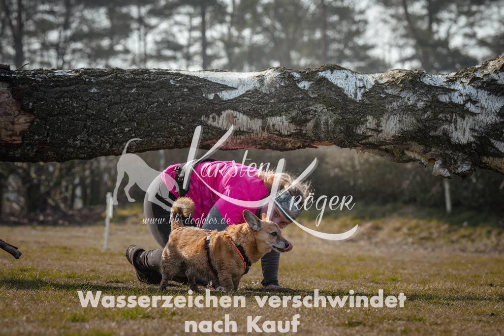 1031_ZZ92775 | kk-dogfotos