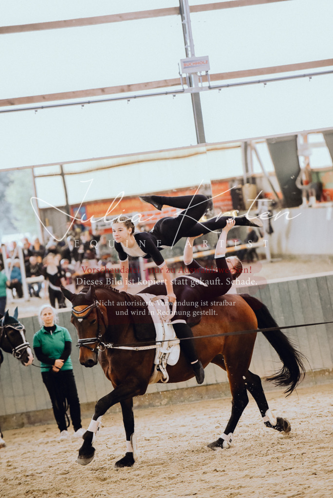 DSC_6906 | Pferde- und Turnierfotografie in Westsachsen. Pferdeportraits, Auftragszeichnungen und intuitive Kunst.