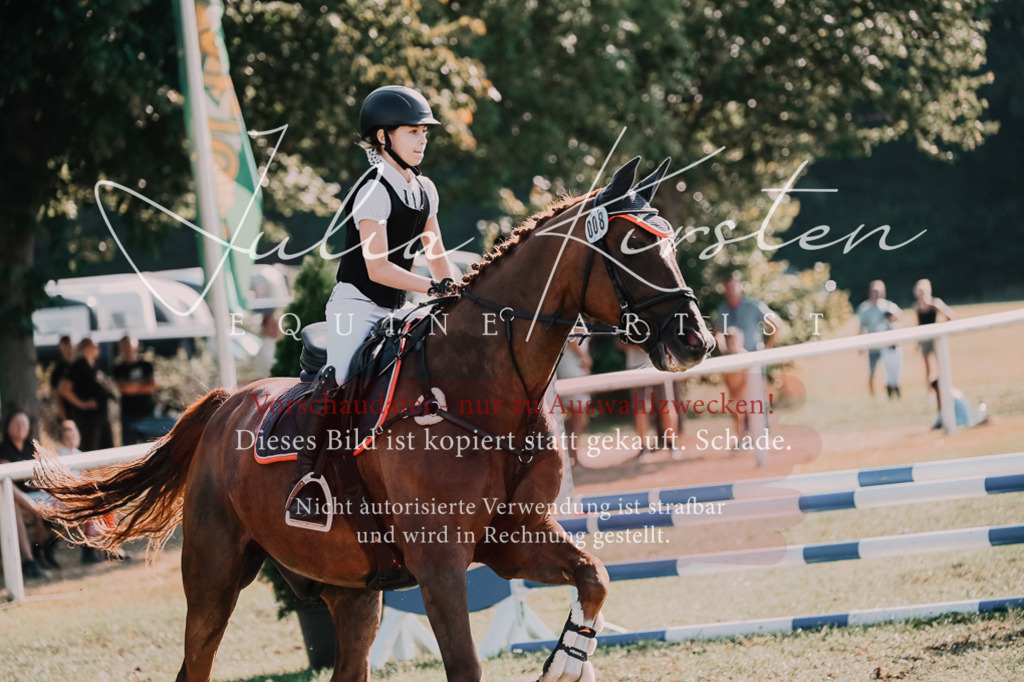 DSC_4865 | Pferde- und Turnierfotografie in Westsachsen. Pferdeportraits, Auftragszeichnungen und intuitive Kunst.