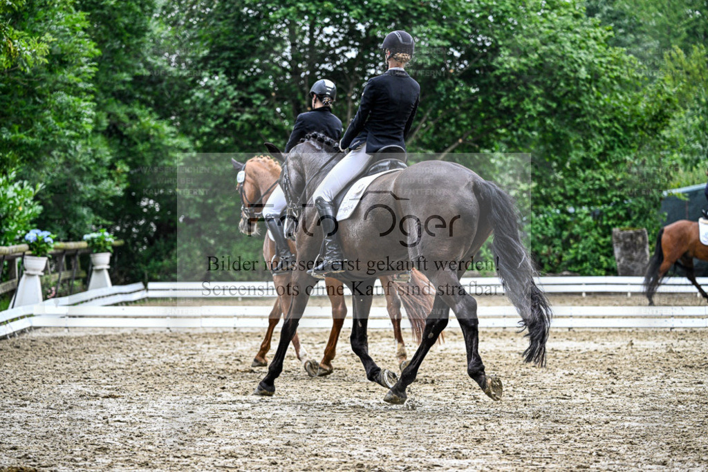 Bissendorfer Reitertage | Entdecke hochwertige Reitturnierfotos von Foto Oger. Professionell, emotional und authentisch – jetzt Lieblingsmomente im Shop bestellen. - Realisiert mit Pictrs.com