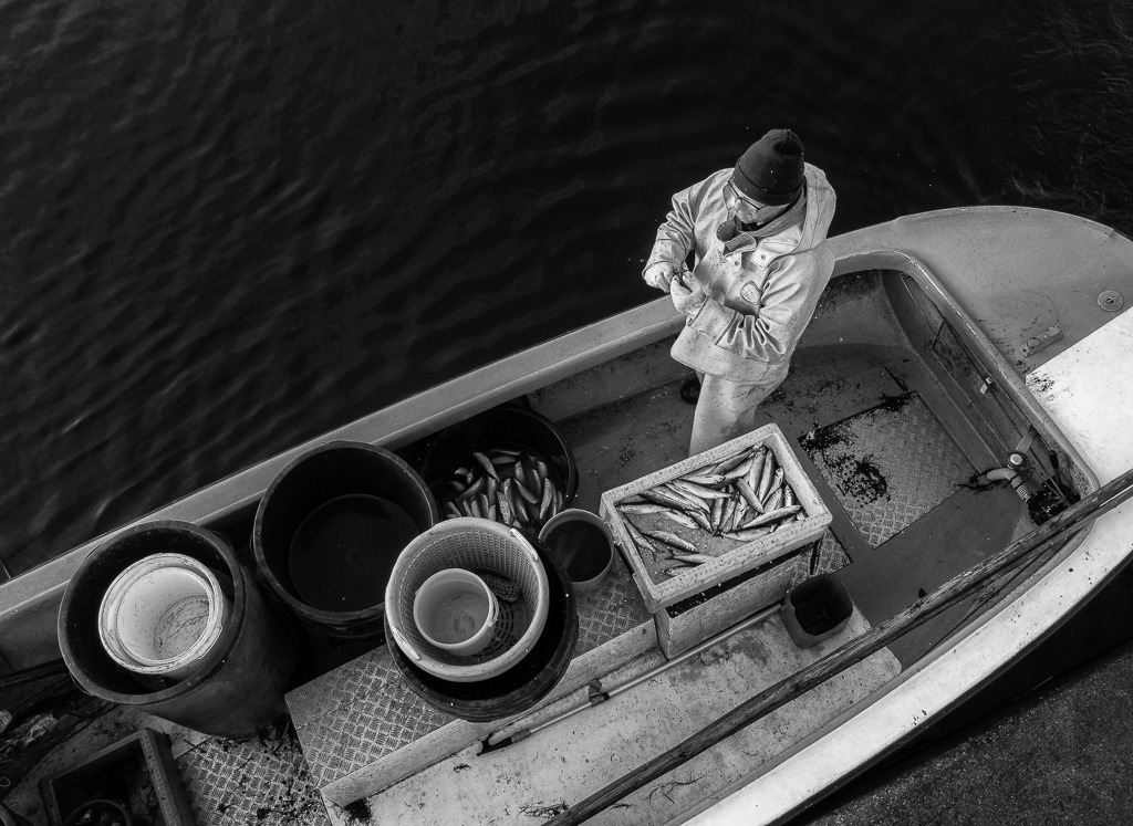 fischer-2019-518 | Matthias Nanz aus Schleswig ist einer der letzten Berufsfischer an der Schlei. Mit seinem Boot fährt Matthias Nanz vom Liegeplatz in Missunde zu den Fanggründen in der Schlei. - Realisiert mit Pictrs.com