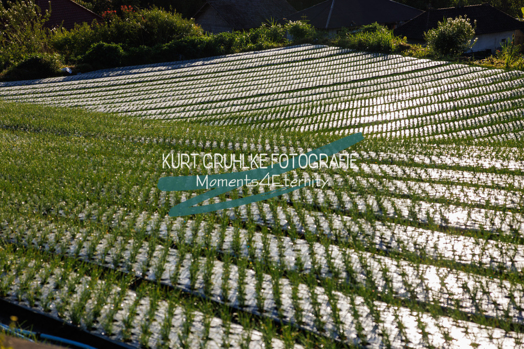 230719-0732 - Kopie | onlinegalerie und Fotoshop Kurt Gruhlke Fotograf Berlin
Hochzeitsfotograf Eventfotograf Portraitfotografie
 - Realisiert mit Pictrs.com