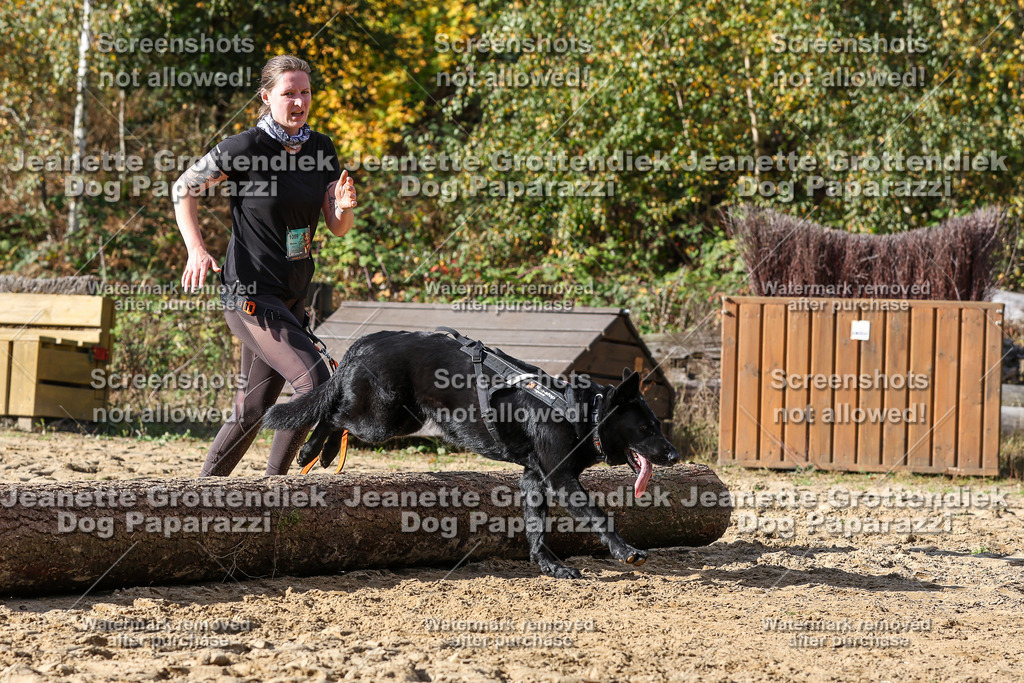 Dog Paparazzi - Strongdog 10-25-4946 | Dog Paparazzi Jeanette Grottendiek Fotografie & Videografie - Realisiert mit Pictrs.com