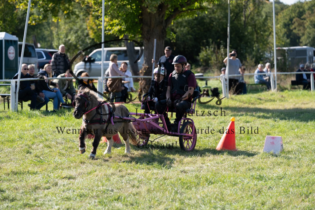 A7V04397 | Pferdefotograf