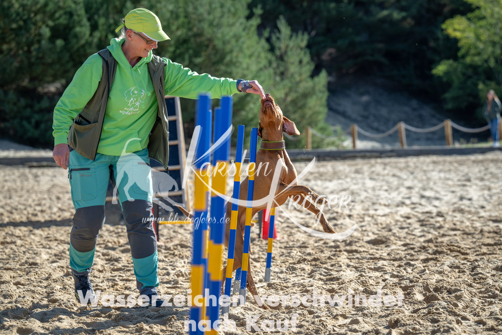 1152_ZZ92273-2 | kk-dogfotos