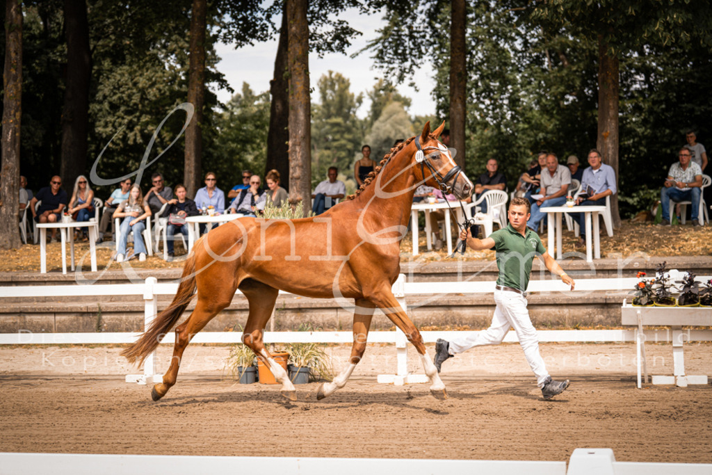 4.Fr00148 | Leoni Ertmer Photography - Realisiert mit Pictrs.com