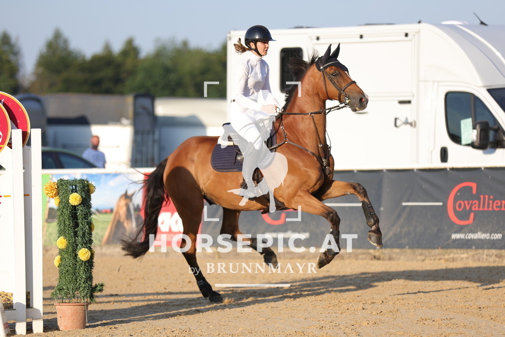0P6A2693 | Willkommen bei Brunnmayr - Design & Fotografie – Ihrem Spezialisten für Reitturniere und Pferdeveranstaltungen in Oberösterreich, Salzburg und Bayern! Seit über 17 Jahren sind wir leidenschaftlich dabei.