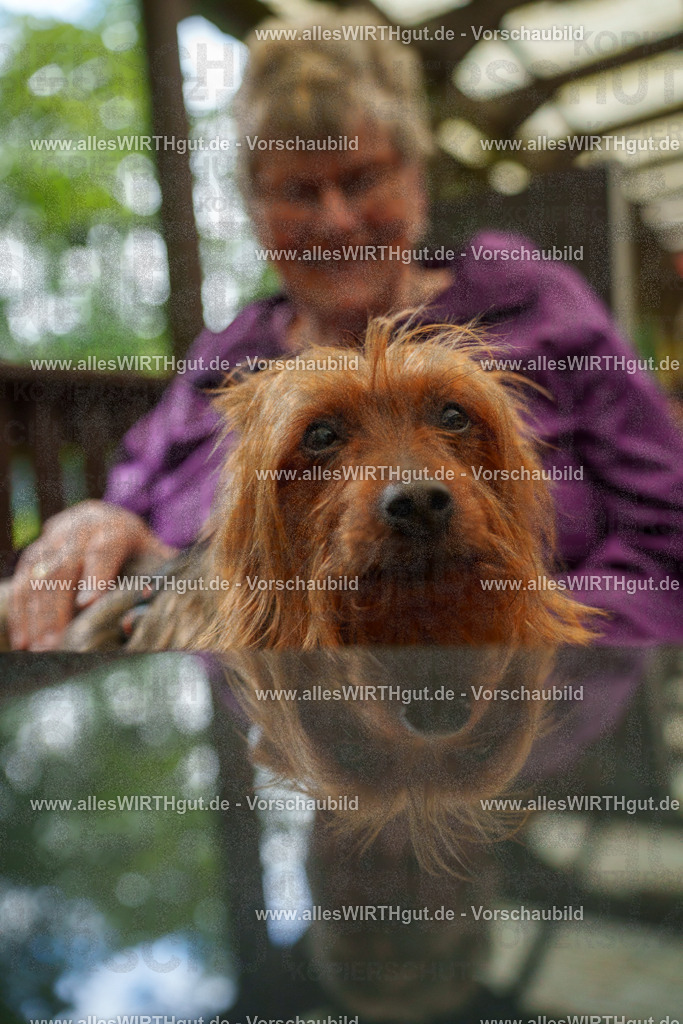 @allesWIRTHgut_Tierfotografie - www.allesWIRTHgut.de - 111521-7R508434 | Professionelle Tierfotografie in Mönchengladbach von Daniel Wirth (allesWIRTHgut). Liebevolle & natürliche Bilder von Hunden & Katzen für unvergessliche Erinnerungen.