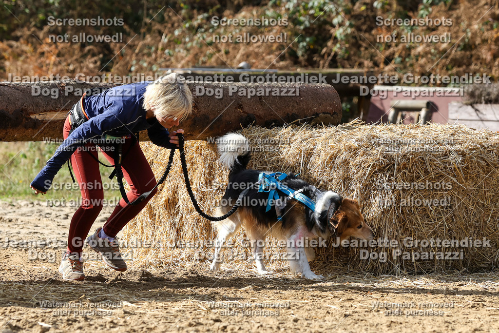 Dog Paparazzi - Strongdog 10-25-5568 | Dog Paparazzi Jeanette Grottendiek Fotografie & Videografie - Realisiert mit Pictrs.com