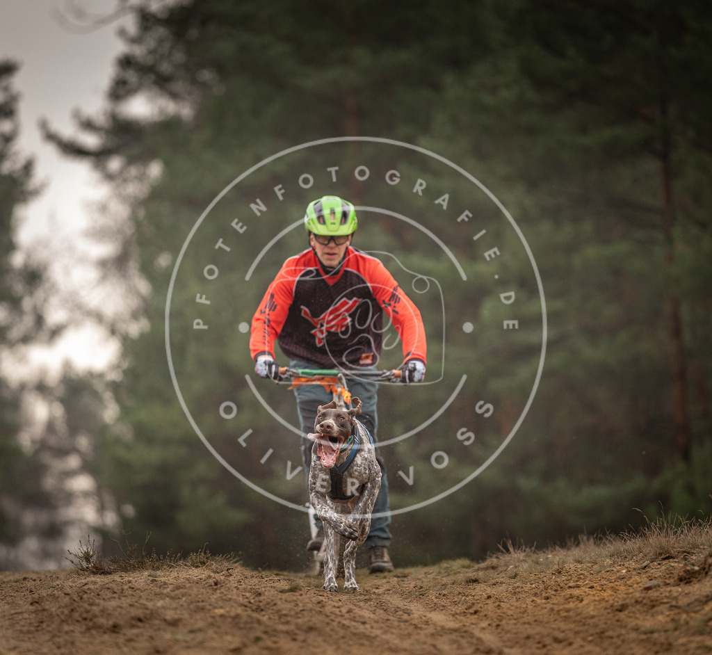 Pfotenfotografie_DV3A4675 | Hundefotografie, Tierfotograf, Pfotenfotografie, Fotoshooting Hund, Hunde Portrait, Hundesport, Hundeportraits, Heideshooting, Hunde, Sportfotograf, Hundefotograf, Turnierhundsport, THS,  - Realisiert mit Pictrs.com