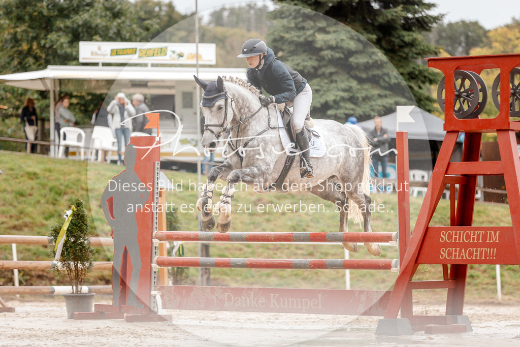 3I6A5953 | Stimmungsvolle Portraits und Reitsportfotografie im Ruhrgebiet und im Münsterland.

Pferdefotografie, Hundefotografie, Tierfotografie, Reportagen, Portraits von Tier und Mensch, Turnierfotografie in Bochum, Recklinghausen, Marl, Haltern am See, Dülmen.. - Realisiert mit Pictrs.com