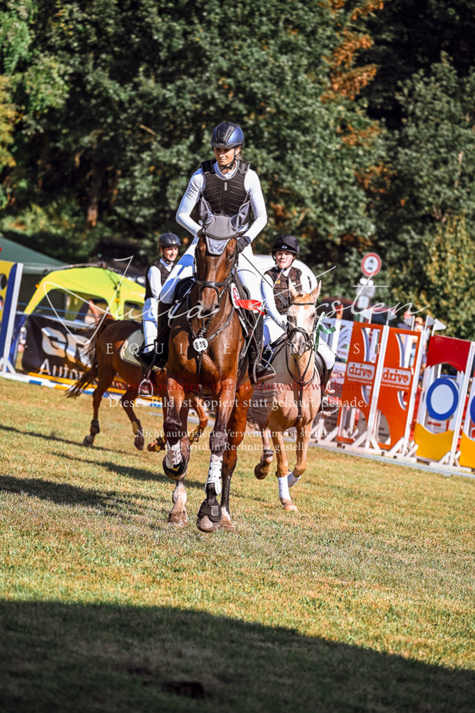 DSC_1187 | Pferde- und Turnierfotografie in Westsachsen. Pferdeportraits, Auftragszeichnungen und intuitive Kunst.