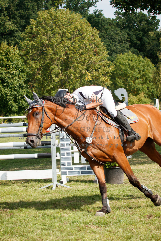 IMG_3771 | P. Berger Fotografie - Realisiert mit Pictrs.com