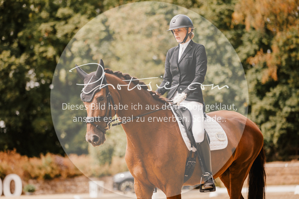 3I6A6210 | Stimmungsvolle Portraits und Reitsportfotografie im Ruhrgebiet und im Münsterland.

Pferdefotografie, Hundefotografie, Tierfotografie, Reportagen, Portraits von Tier und Mensch, Turnierfotografie in Bochum, Recklinghausen, Marl, Haltern am See, Dülmen.. - Realisiert mit Pictrs.com