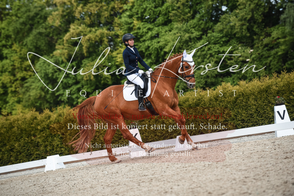 20230518_JK-Röhrsdorf-12-0660 | Pferde- und Turnierfotografie in Westsachsen. Pferdeportraits, Auftragszeichnungen und intuitive Kunst.