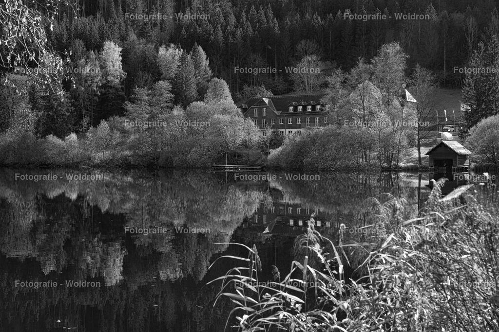 20221023 Erlaufsee - Lunz am See - Mariazell-51 | Fotografie Woldron