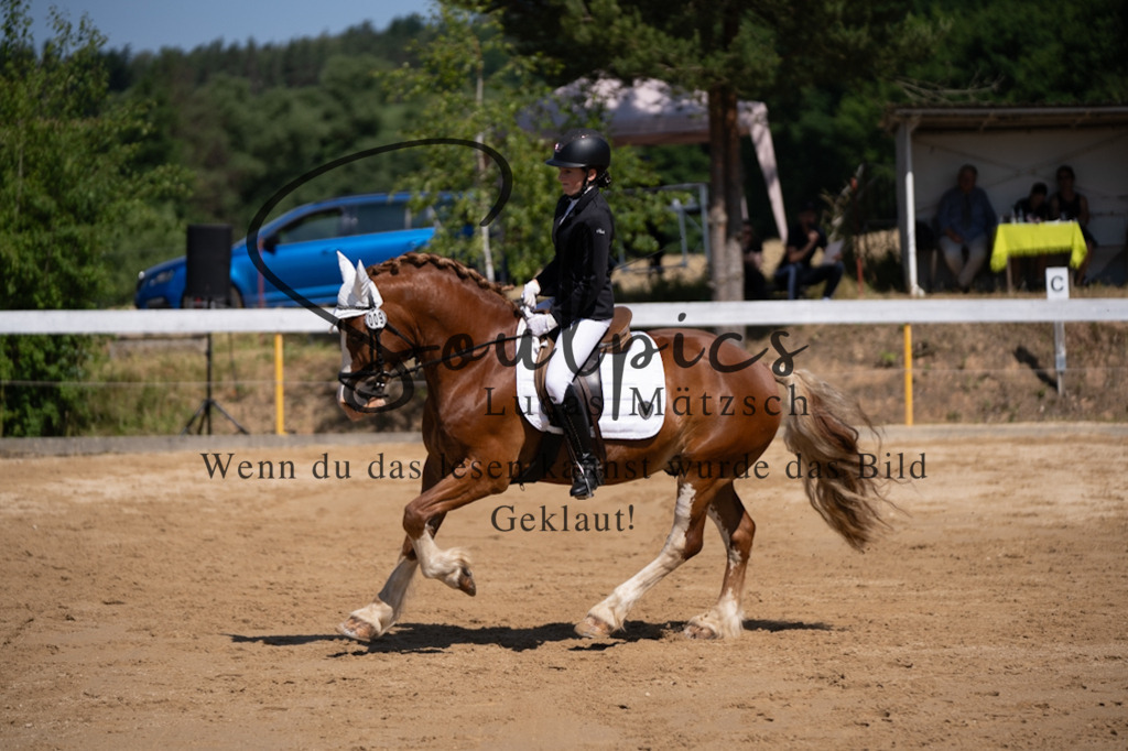 A7V07876 | Pferdefotograf