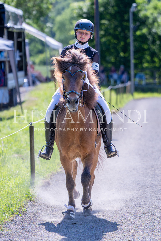 KAI00486 | Ihr sucht einen Fotografen für eure nächste OSI? Ich begleite auch euer Turnier für Islandpferde fotografisch.  - Realisiert mit Pictrs.com