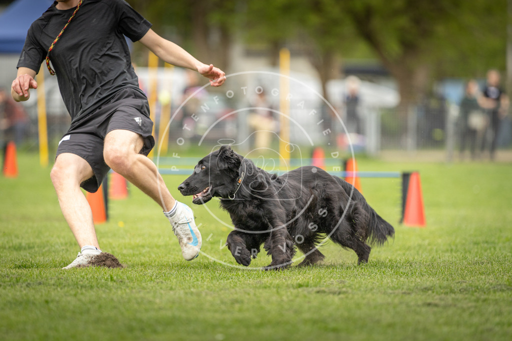 Pfotenfotografie_DV3A0679 | Hundefotografie, Tierfotograf, Pfotenfotografie, Fotoshooting Hund, Hunde Portrait, Hundesport, Hundeportraits, Heideshooting, Hunde, Sportfotograf, Hundefotograf, Turnierhundsport, THS,  - Realisiert mit Pictrs.com