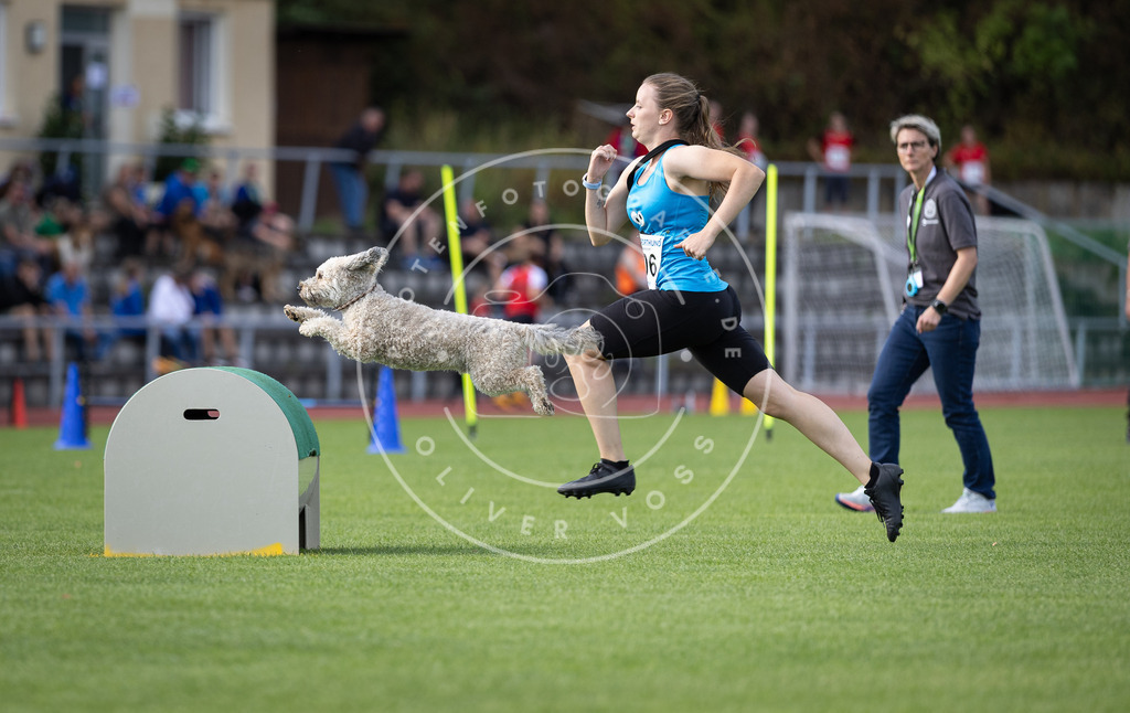 Pfotenfotografie_DV3A1566 | Hundefotografie, Tierfotograf, Pfotenfotografie, Fotoshooting Hund, Hunde Portrait, Hundesport, Hundeportraits, Heideshooting, Hunde, Sportfotograf, Hundefotograf, Turnierhundsport, THS,  - Realisiert mit Pictrs.com