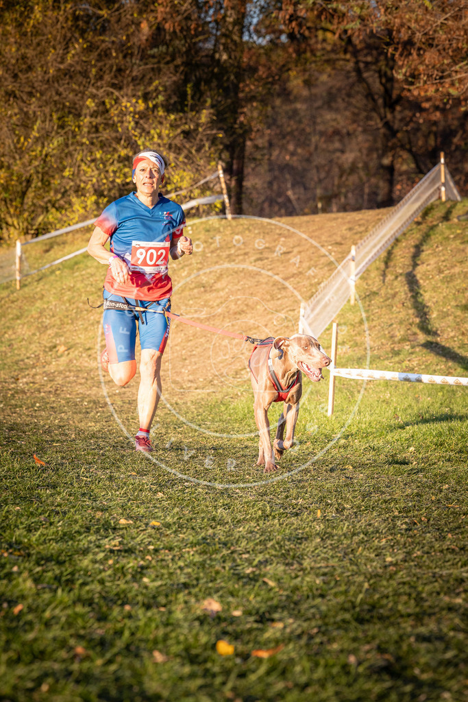CaniXpix_0L8A1302 | Hundefotografie, Tierfotograf, Pfotenfotografie, Fotoshooting Hund, Hunde Portrait, Hundesport, Hundeportraits, Heideshooting, Hunde, Sportfotograf, Hundefotograf, Turnierhundsport, THS,  - Realisiert mit Pictrs.com