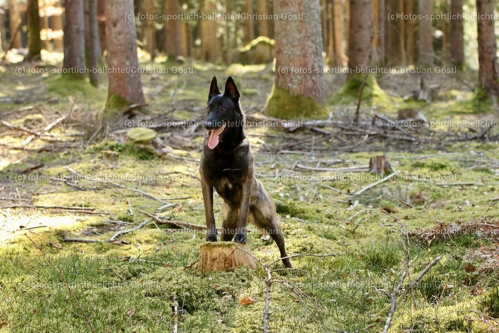 IMG_4710 | fotos-sportlich-belichtet - Realisiert mit Pictrs.com