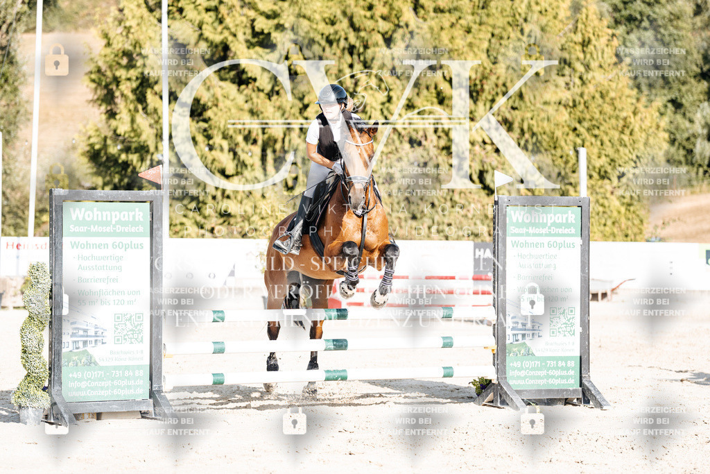 CK909634 | Turnierfotografie Pferdefotografie Trier Rheinland-Pfalz Pferdesport Reitsport Tierfotografie Sportfotografie Pferdevideo Pferdevideografie Equestrianvideography equestrianphotography  - Realisiert mit Pictrs.com