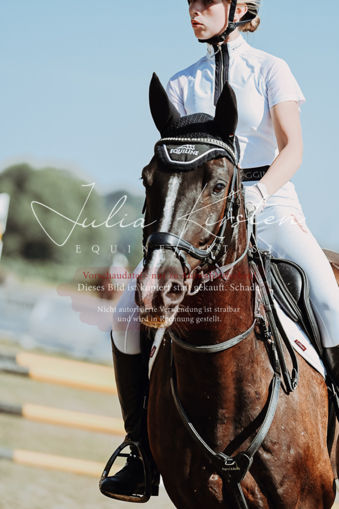 DSC_0050 | Pferde- und Turnierfotografie in Westsachsen. Pferdeportraits, Auftragszeichnungen und intuitive Kunst.