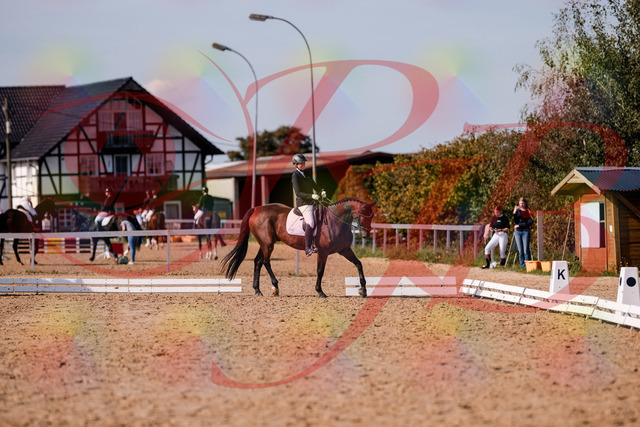 2026_10_03_Siefer-Hof_130240_Z81_57587899 | Professionelle Reitsport-, Turnier- und Eventfotografie von Robert Broda. Galerien mit ausgewählten und bearbeiteten Bildern direkt online ansehen und bestellen.