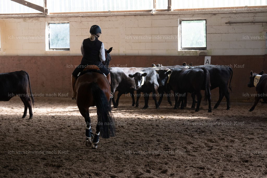 WM_COW_97_SinaFilmArt_IN04710 | working equitationturnier fotograf videograf stoibphotography marixx film working equitation deutschland reitsport turnierfotografie eventfotografie equestrian events