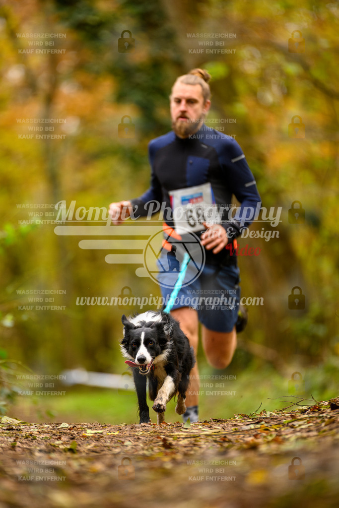 MompixPhotography_Bischwiller24_SA_Canicross-78 | PayLife