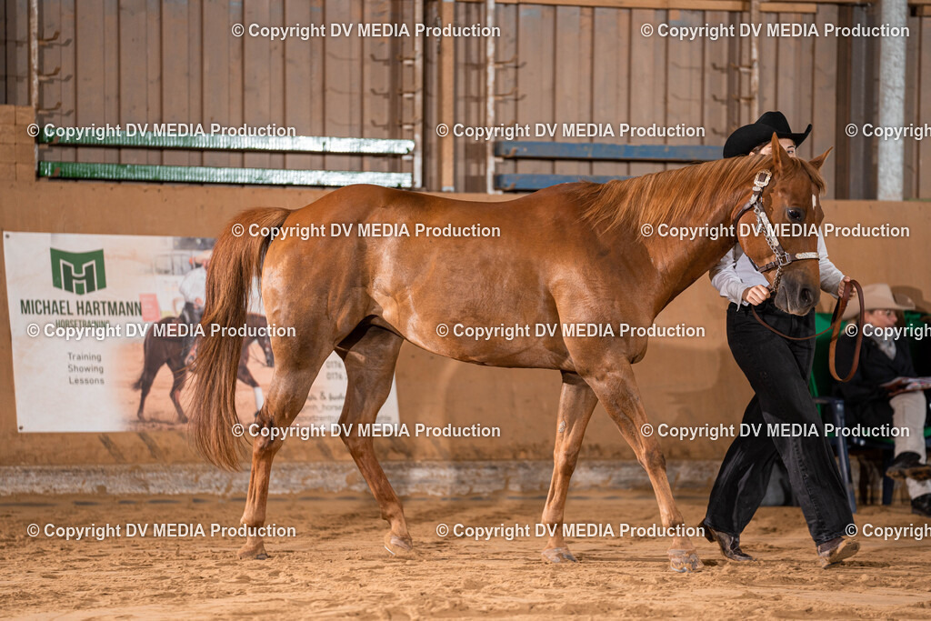 Losheim Tag 2-19 | dv-media-shop - Realisiert mit Pictrs.com