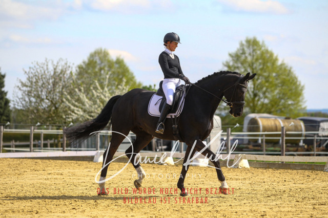 DKP43273 | Turniersportfotografie; Pferdefotografie; Dressurfotografie