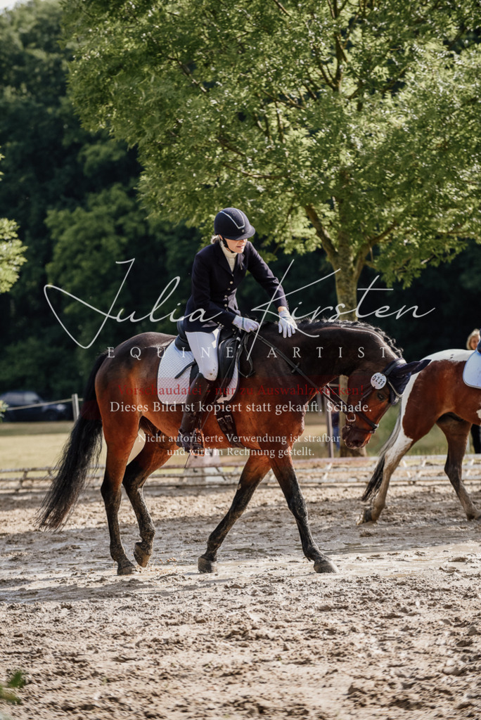 DSC_8823 | Pferde- und Turnierfotografie in Westsachsen. Pferdeportraits, Auftragszeichnungen und intuitive Kunst.