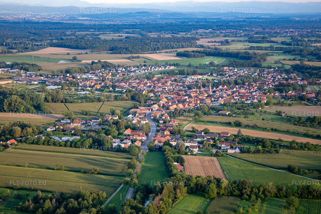 Vue aérienne: Vue de la ville depuis le nord à Obenheim dans le département Bas Rhin, France – .Photo: IMG_137914.jpg prise le 18/08/2023 par Werner Riehm/FLY-FOTO.eu – Résolution de l'original: 5472 x 3648 px