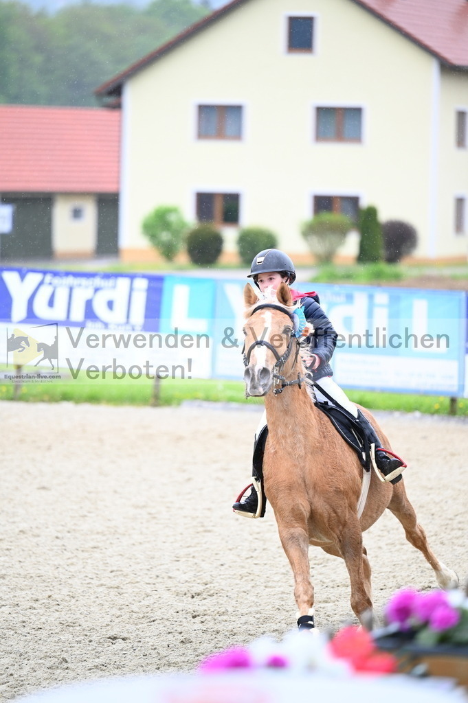 DSC_2281 | equestrian-live-com