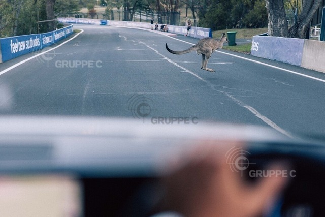 IGTC126_021219140609818TU_TU | 12h Bathurst 2026 -  Meguiar’s Bathurst 12 Hour - Intercontinental GT Challenge Round 1 - Foto: Gruppe C Photography - Realisiert mit Pictrs.com