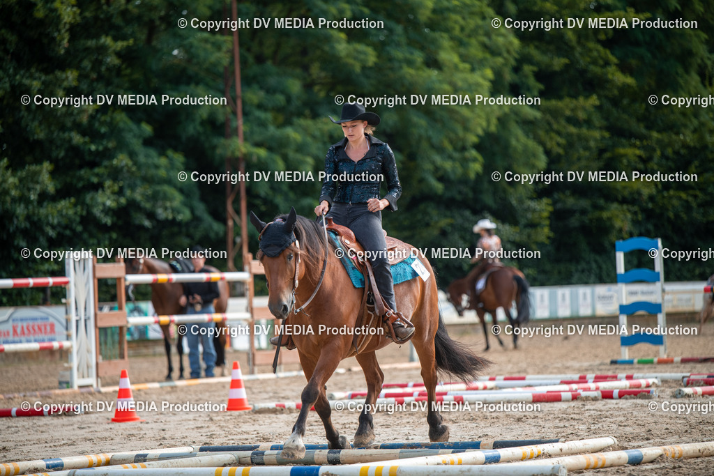 ZS3_9131 | dv-media-shop - Realisiert mit Pictrs.com