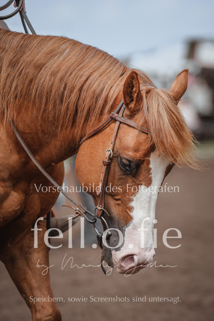fell.o.fie_mandyjordan_2024_06_08394 | Mandy Klecke Fellfotografie, fell.o.fie Fotografenshop - Realisiert mit Pictrs.com