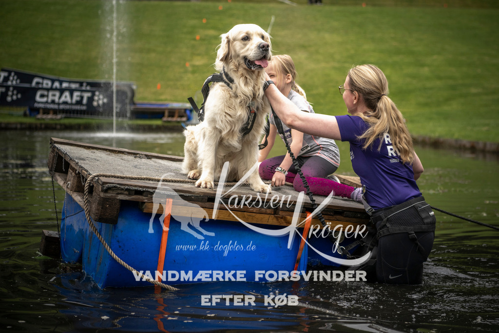 1013_ZZ95099 | kk-dogfotos