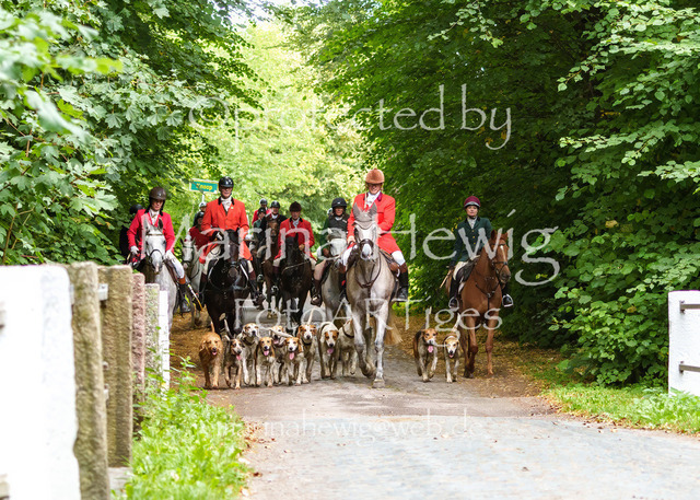 Jagd Knoop 26_MarinaHewigMCH02672 | Fotografie, FotoArt, PferdesportArt, Pferdesportfotografie, Landschaftsfotografie, Reisefotografie, Reise, Pferde - Realisiert mit Pictrs.com