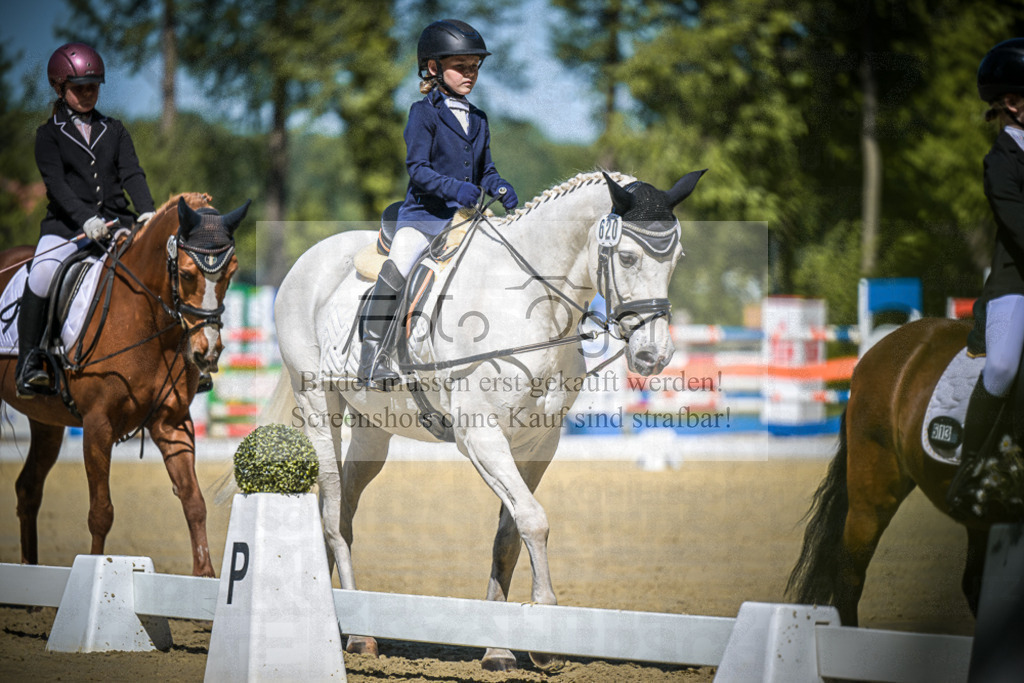 DOS_8146 | Entdecke hochwertige Reitturnierfotos von Foto Oger. Professionell, emotional und authentisch – jetzt Lieblingsmomente im Shop bestellen.Deutschlandweite Turnierfotografie. - Realisiert mit Pictrs.com