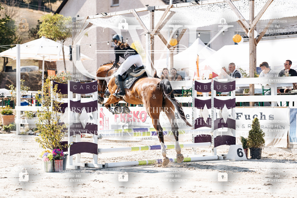 CK905089 | Turnierfotografie Pferdefotografie Trier Rheinland-Pfalz Pferdesport Reitsport Tierfotografie Sportfotografie Pferdevideo Pferdevideografie Equestrianvideography equestrianphotography  - Realisiert mit Pictrs.com